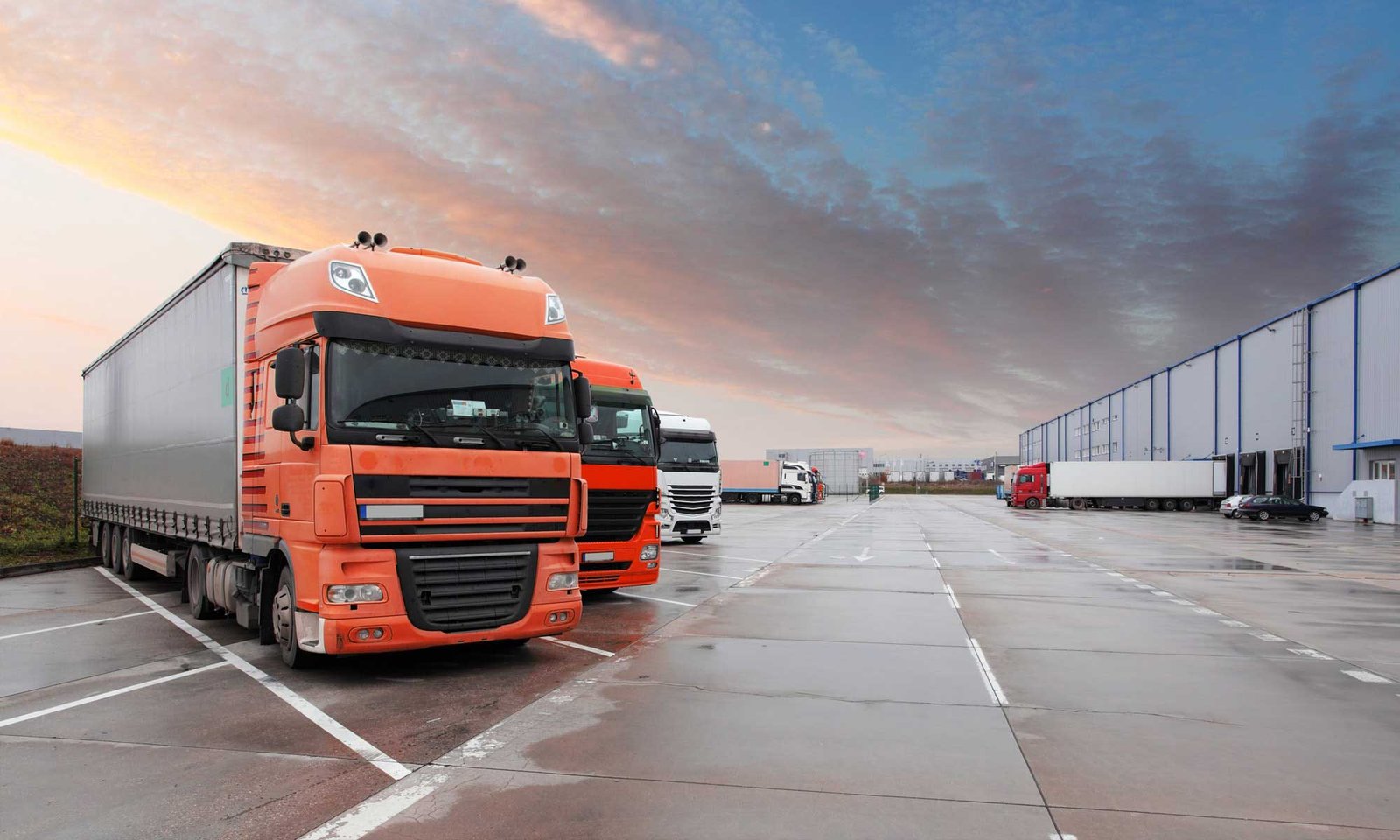 Domestic Same-Day Delivery